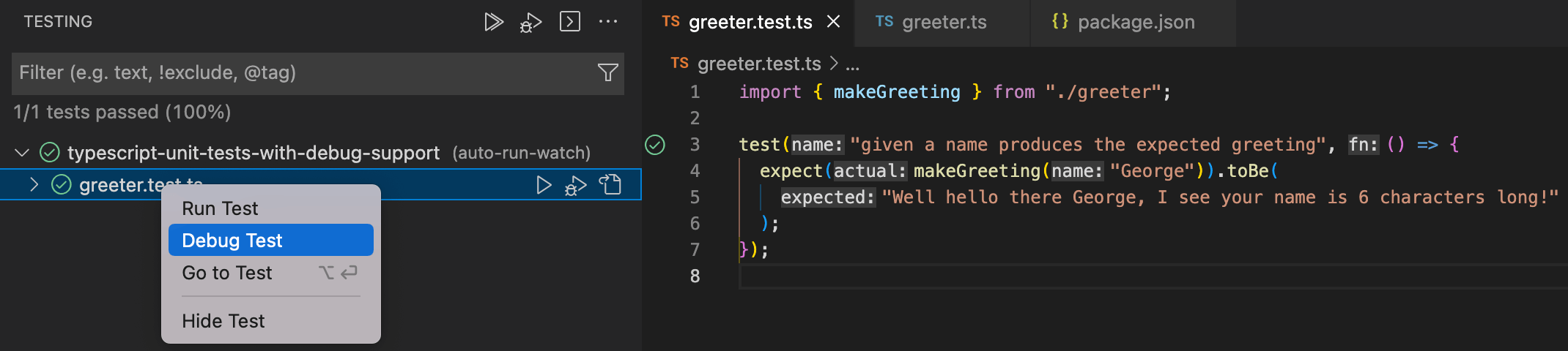 Screenshot of test explorer to debug a test